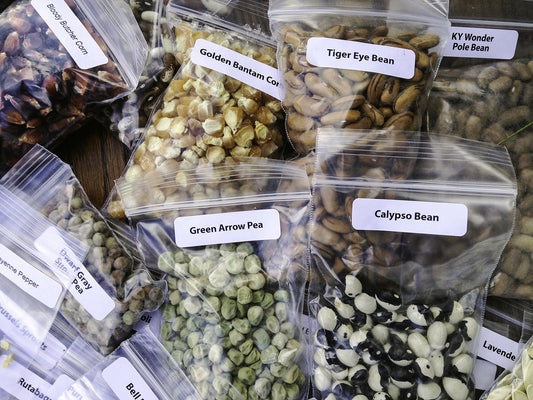 Featured image for BUILD YOUR OWN SEED KIT