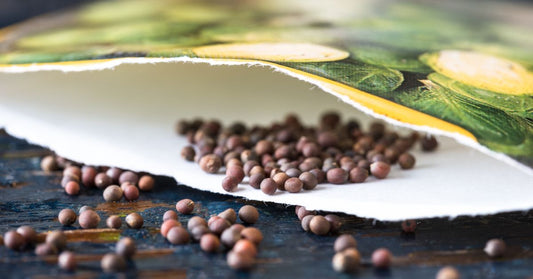 Featured image for Troubleshooting Common Heirloom Seed Gardening Problems