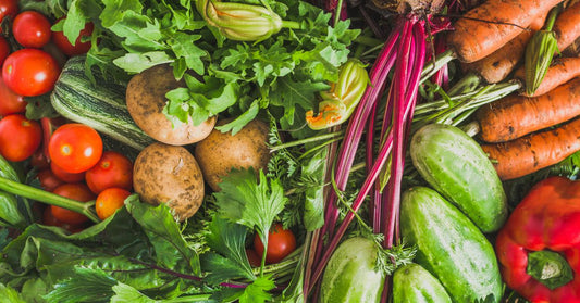 Troubleshooting Common Heirloom Seed Gardening Problems