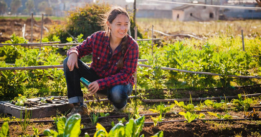 Ways To Attract Pollinators to Your Heirloom Plants