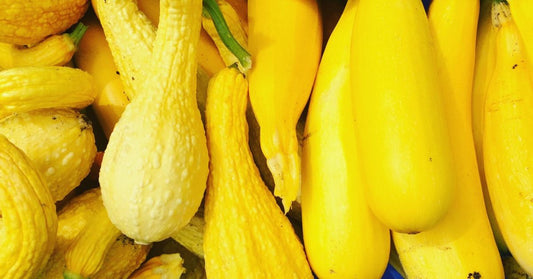 Featured image for Complete Guide to Growing and Harvesting Heirloom Squash