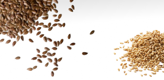 Build Your Own Seed Kits