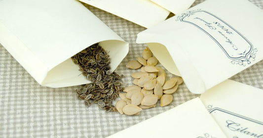 Featured image for A Beginner’s Guide to Heirloom Seed Saving Techniques