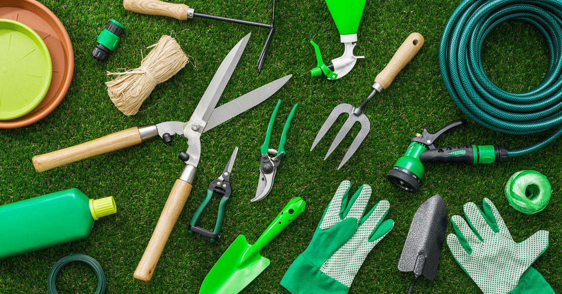 Essential Gardening Tools for Every Heirloom Seed Enthusiast