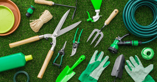 Essential Gardening Tools for Every Heirloom Seed Enthusiast