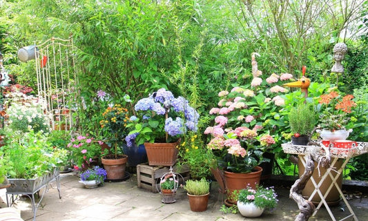 Tips for Growing a Healthy and Flourishing Garden