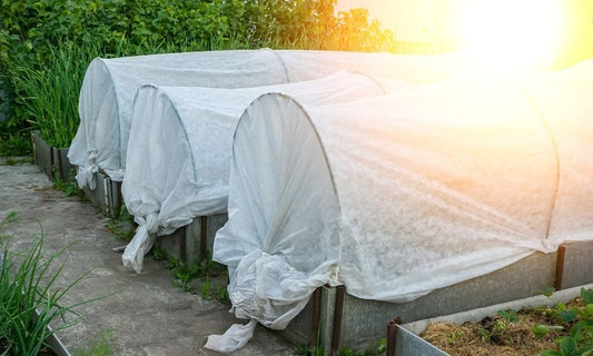 Tips for Protecting Your Backyard Garden From Severe Weather