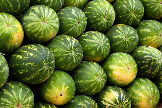 Heirloom Melon Seeds