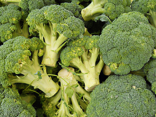 Heirloom Broccoli