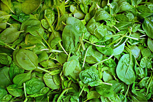 Heirloom Spinach Seeds