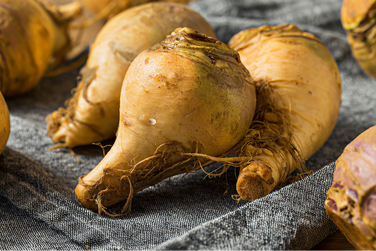 Heirloom Rutabaga