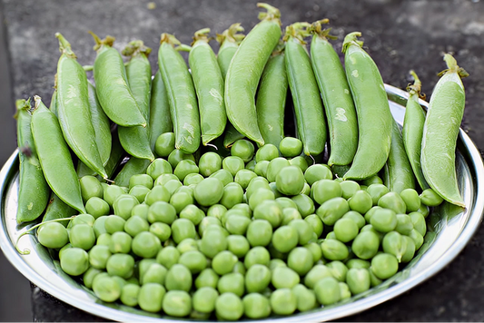 Heirloom Pea Seeds