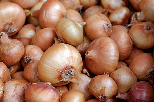 Heirloom Onion Seeds