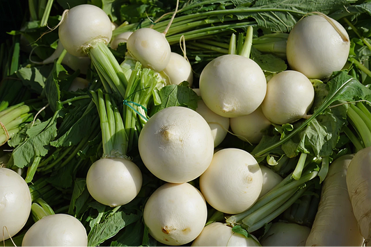 Heirloom Turnip Seeds