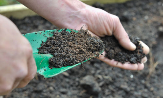Featured image for 3 Helpful Tips for Using Compost in Your Garden