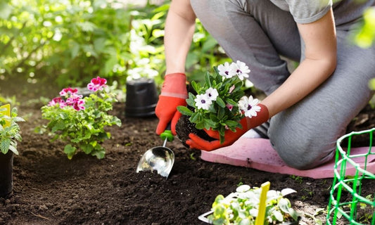 The Most Common Gardening Mistakes You Need To Avoid
