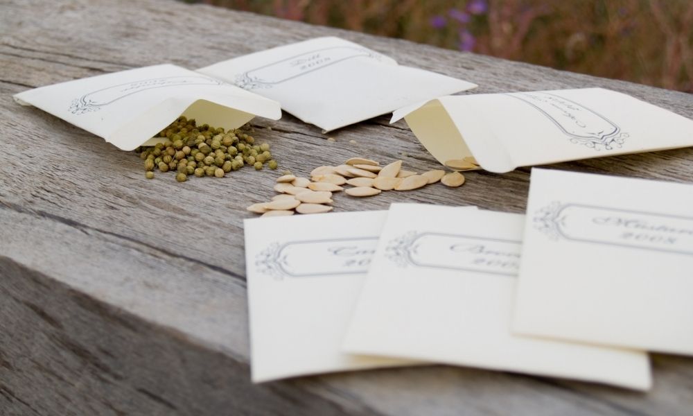 Seeds in paper packets on a wooden surface