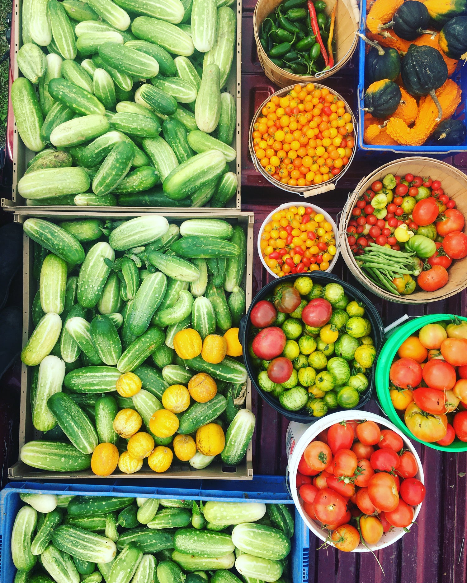 Assorted vegetables including cucumbers, tomatoes, and peppers displayed in containers.