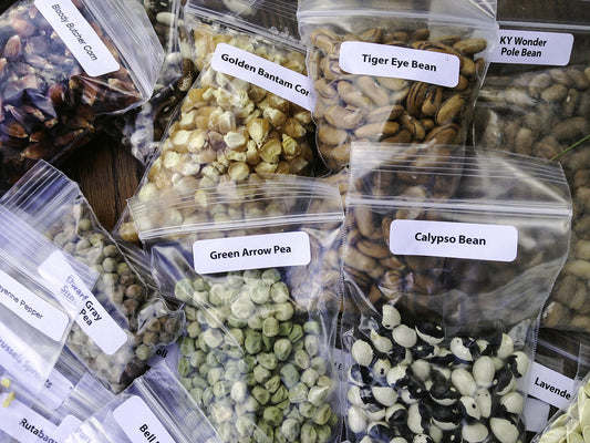 Featured image for BUILD YOUR OWN SEED KIT