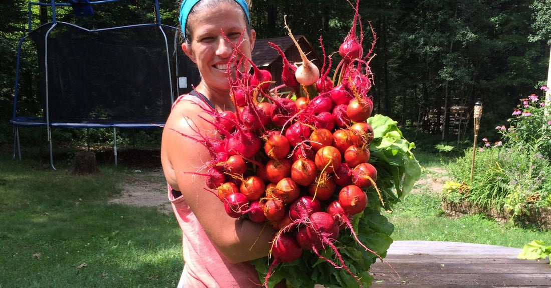 The Role of Heirloom Seeds in a Resilient Food Source