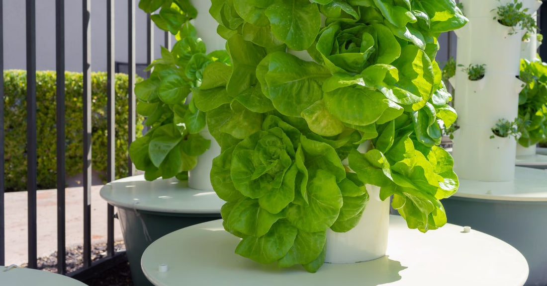 eatured image for Reasons To Start a Vertical Garden if You Have Limited Space