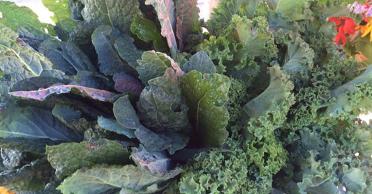 A Guide to Leafy Greens You Can Grow With Heirloom Seeds