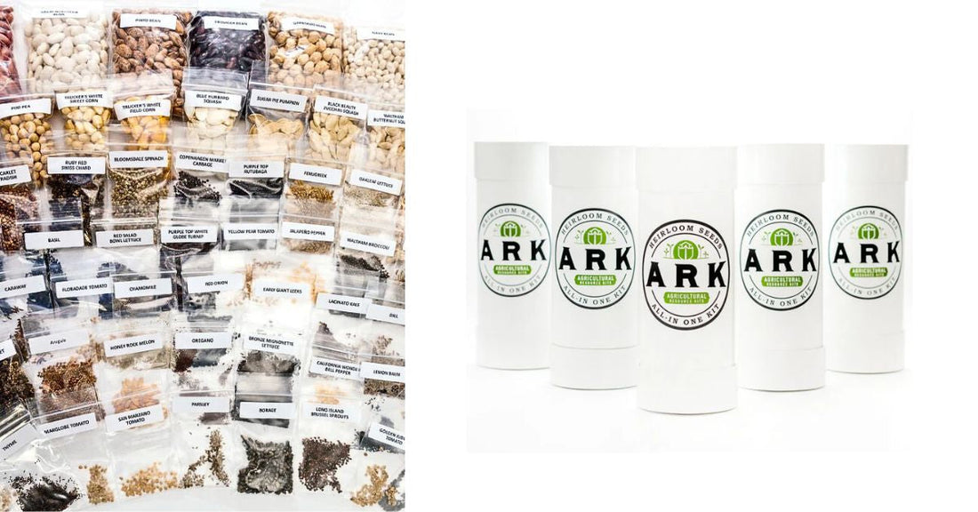 Creating a Long-Term Food Security Plan With Heirloom Seeds