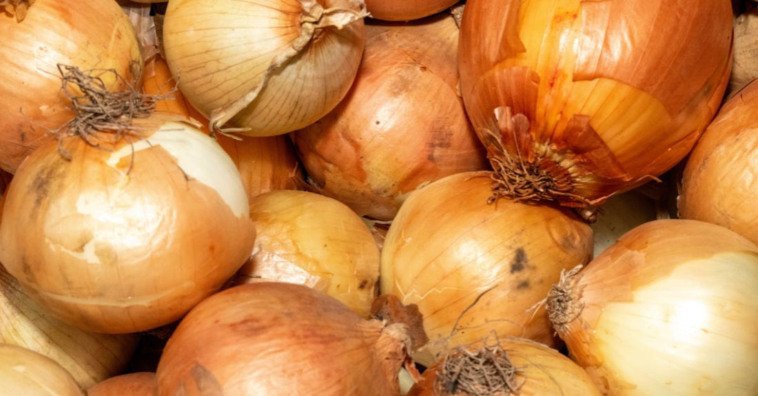 Heirloom Onion Varieties To Have in Your Seed Bank