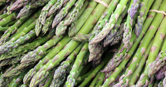 Growing for Survival: Crops That Regrow Year After Year