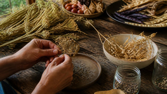 Beginner Guide to Saving Heirloom Seeds
