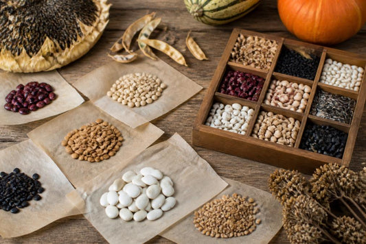 Best Heirloom Seeds for 2026 Planting: Top Varieties